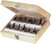 Zestaw frezów utwardzanych do drewna 12szt. PROMA FRB-12